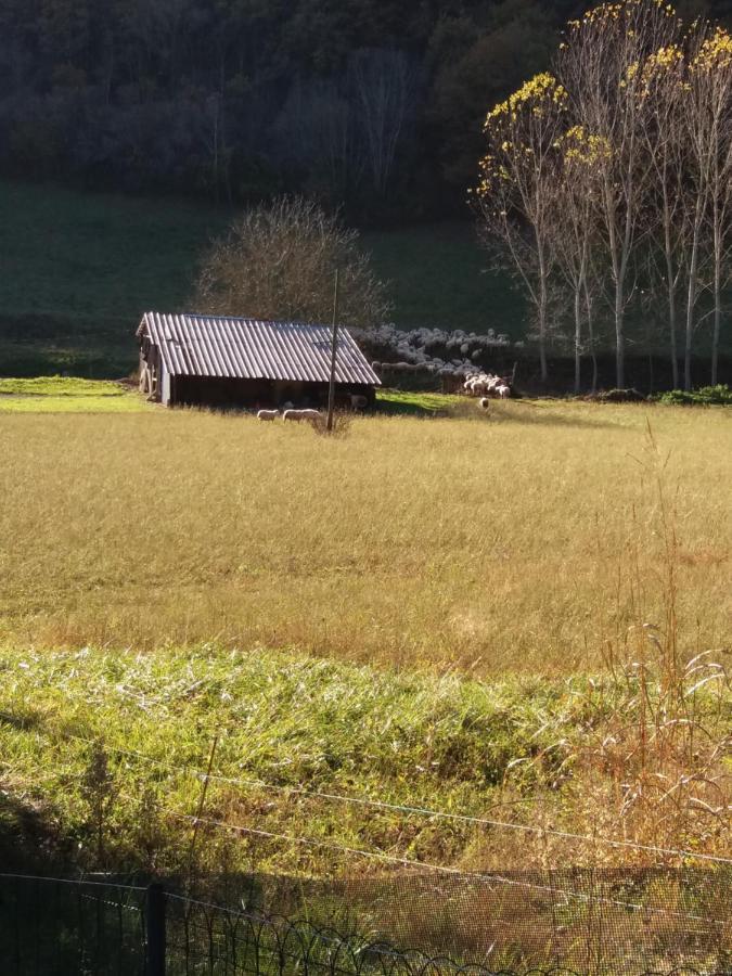 Les Trois Prunelles Saint-Pierre-Toirac Exterior foto